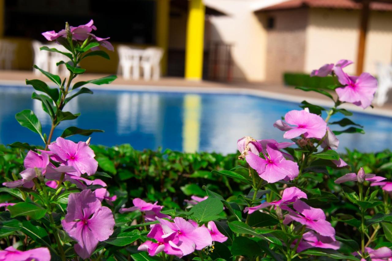 Deluxe Suites Guacamayos - Eco-Lodge & Swimming Pool Bonao Dış mekan fotoğraf
