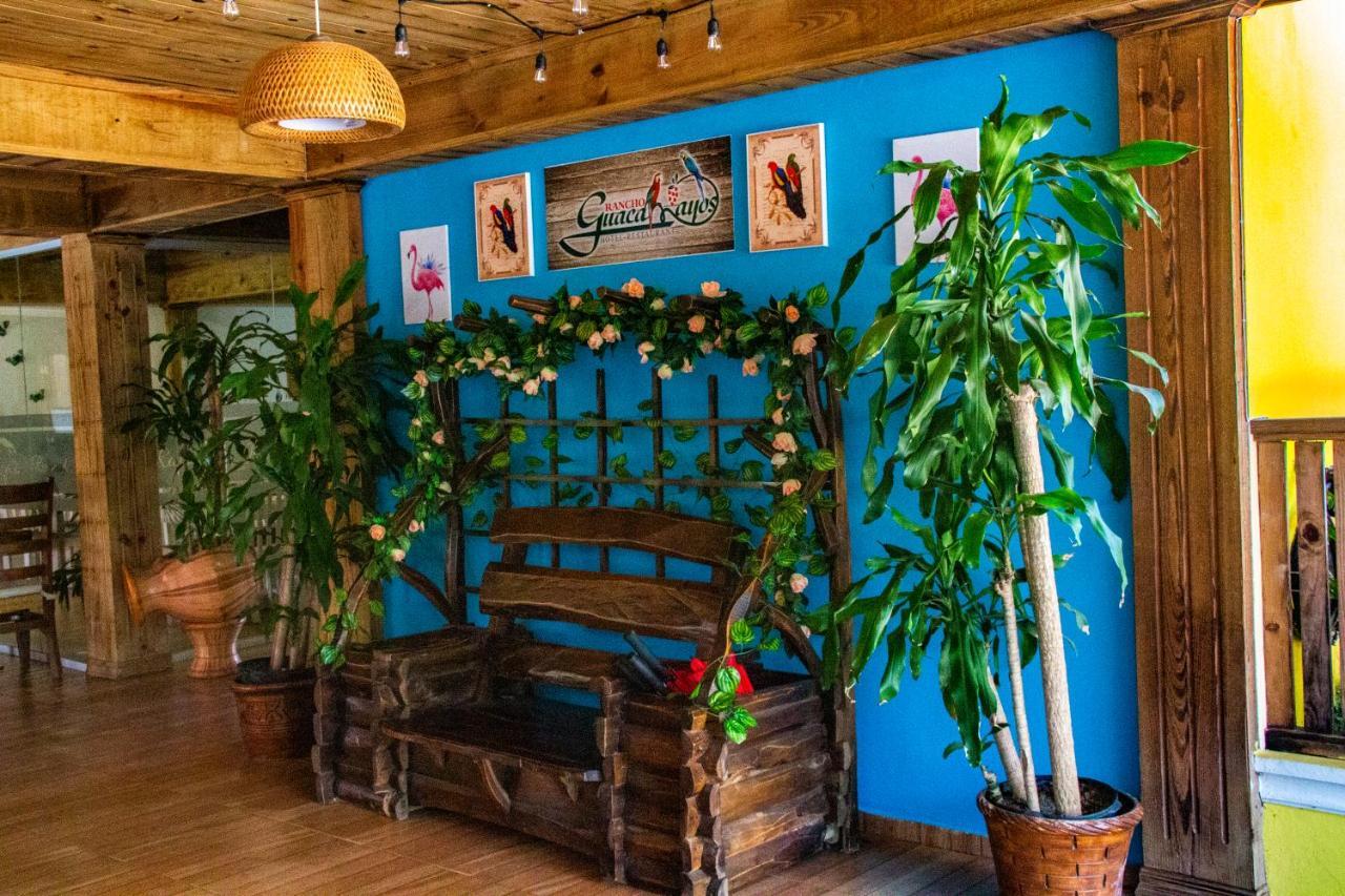 Deluxe Suites Guacamayos - Eco-Lodge & Swimming Pool Bonao Dış mekan fotoğraf